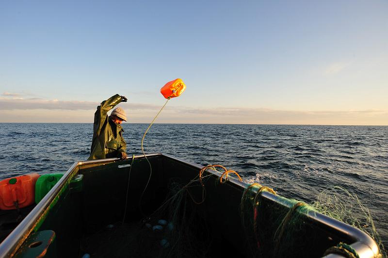 Fileyeur St Jean de Luz ab5.JPG